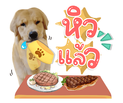 ลายที่ 39