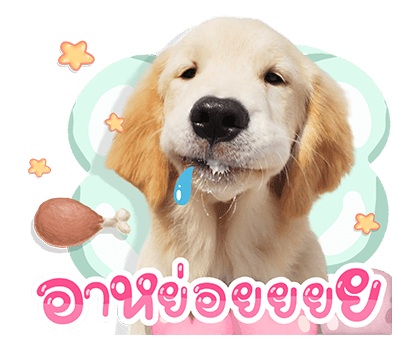 จุ๊มเหม่งมีอะไร รูปที่ 21
