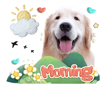 ลายที่ 43