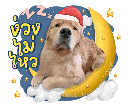 ลายที่ 45