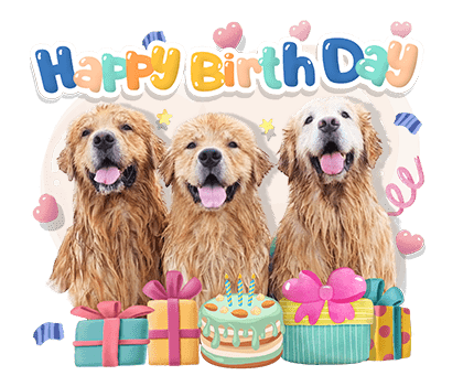 ลายที่ 47