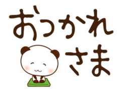 64152431