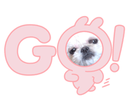 641525546