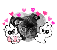 641525549
