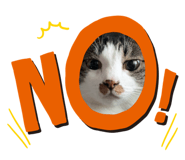 641527691