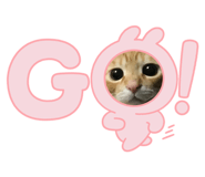 641527692