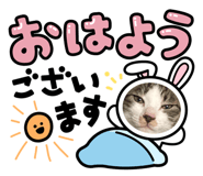 641527693