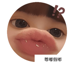 641546490