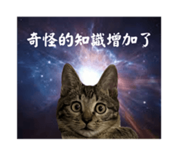 641551894