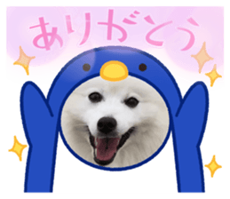 641553661
