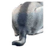 641556076