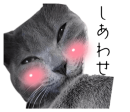641556636