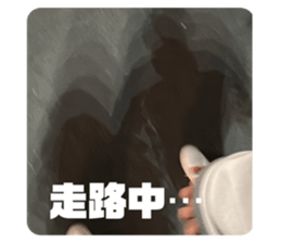 641563321