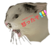 641568866