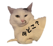641568868