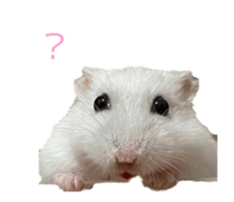 641575983