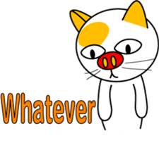 641579