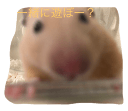 641584268