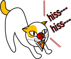 641585