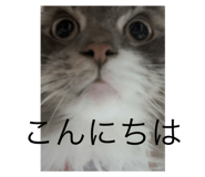 641606055