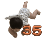 641653779