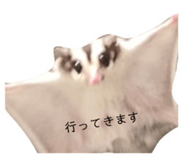 641660091