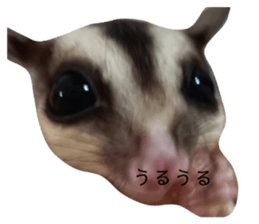 641660096