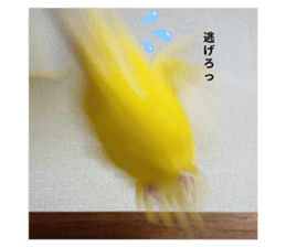 641676321