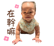 641678404