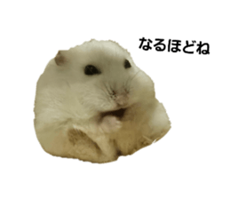 641681846