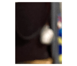 641683908