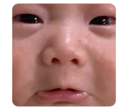 641686195