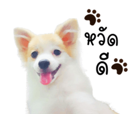 641694542