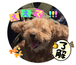 641725209