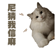 641728276