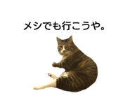641741919