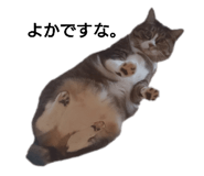 641741920