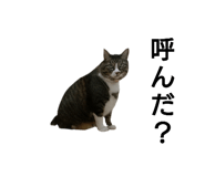 641741921