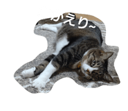 641741922