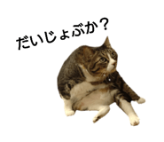 641741923