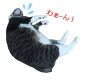 641741929