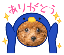641742285