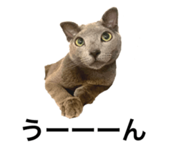 641748088