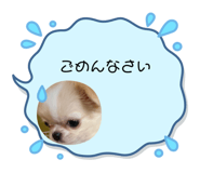 641748219