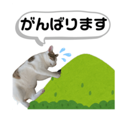 641753971