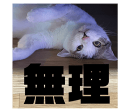 641753977