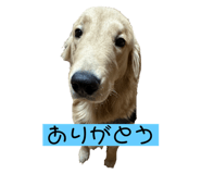 641763930