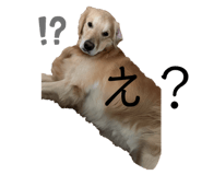 641763938