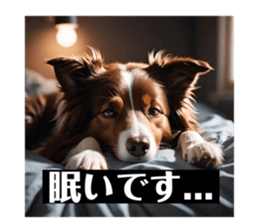 641783098