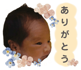 641792338